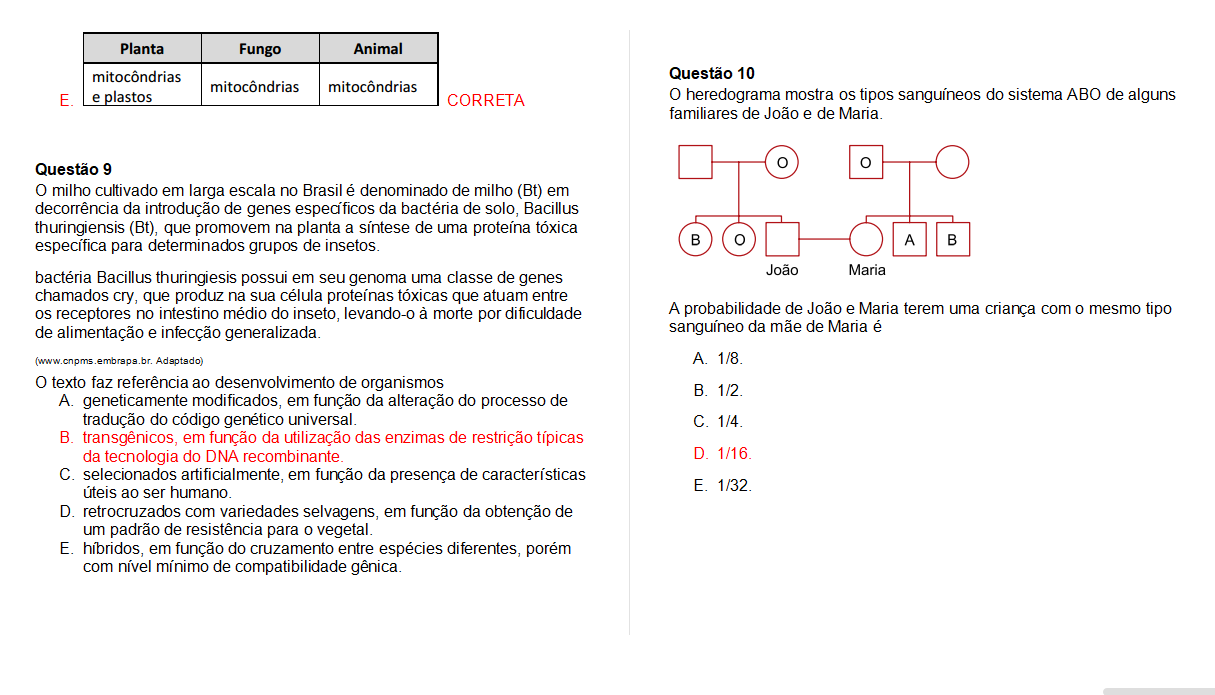 questoes avaliativas